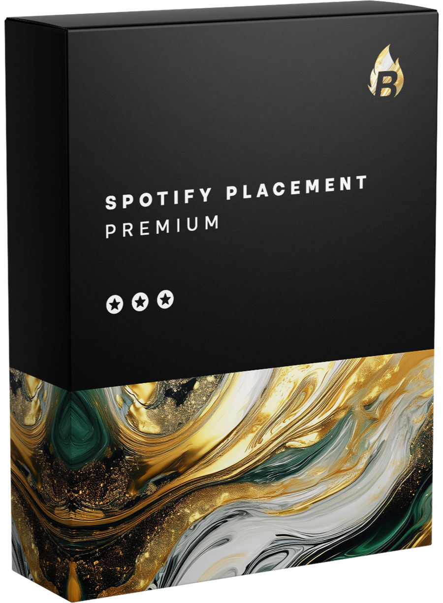 Spotify Campaign Premium - Bangerang Network