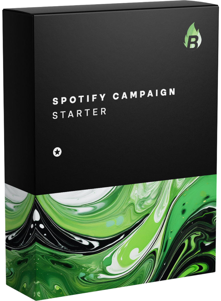 Spotify Campaign Starter - Bangerang Network
