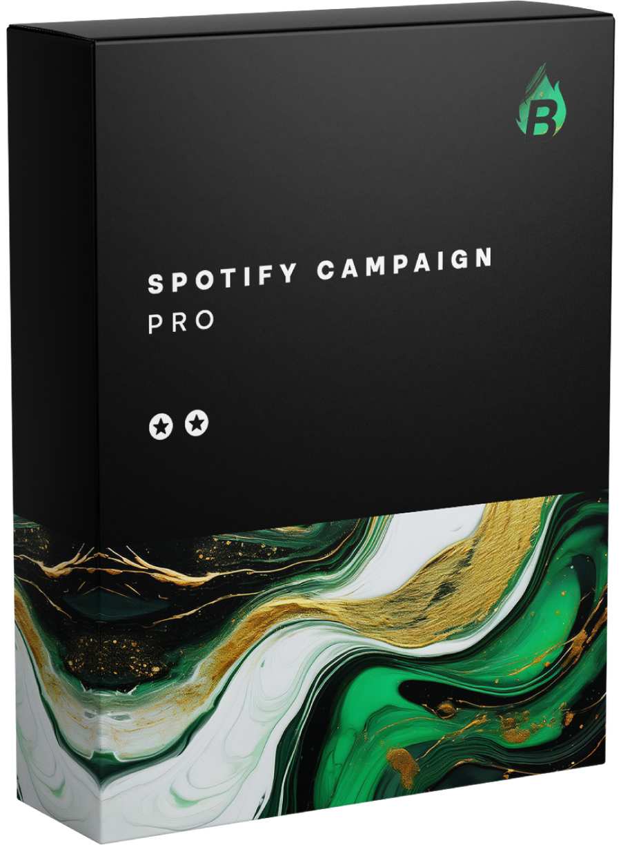 Spotify Campaign Pro - Bangerang Network