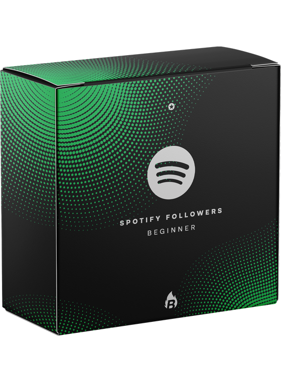 Spotify Followers Beginner - Bangerang Network