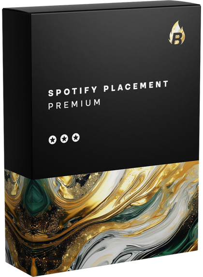 Spotify Campaign Premium - Bangerang Network