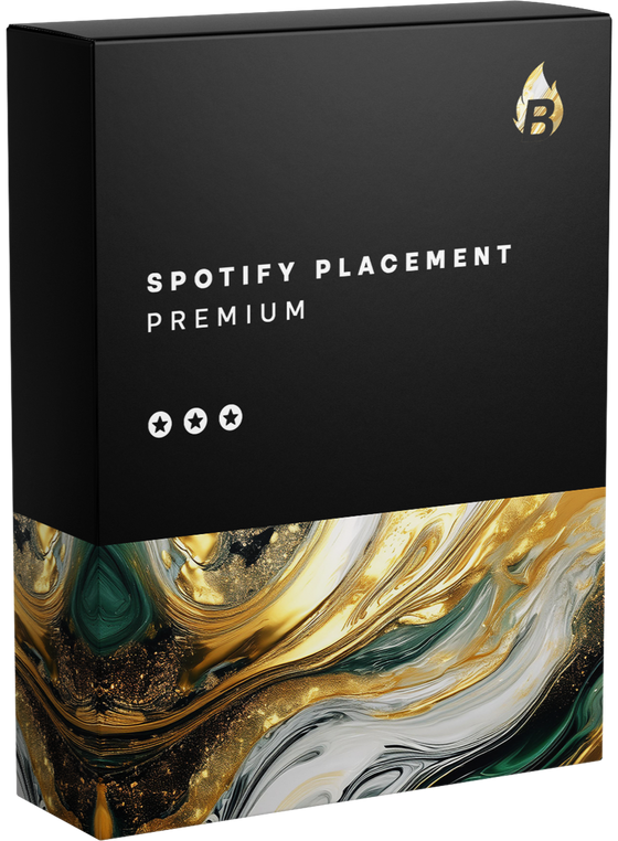 Spotify Campaign Premium - Bangerang Network