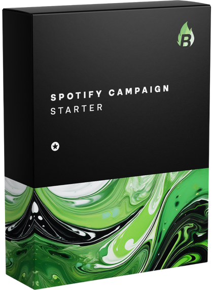 Spotify Campaign Starter - Bangerang Network